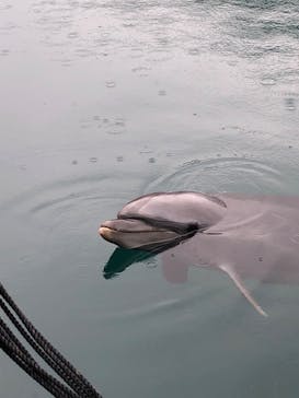 下田海中水族館に投稿された画像（2024/1/2）