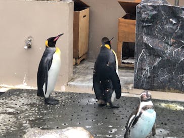 下田海中水族館に投稿された画像（2024/1/2）