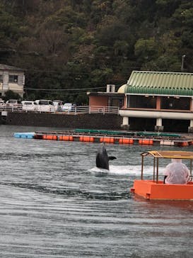 下田海中水族館に投稿された画像（2024/1/2）