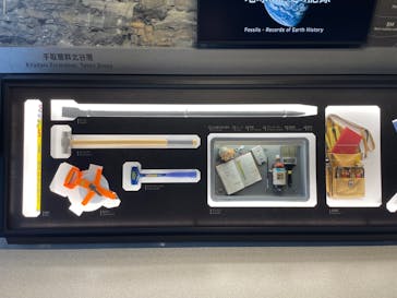 福井県立恐竜博物館に投稿された画像（2024/1/2）