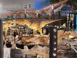 福井県立恐竜博物館に投稿された画像（2024/1/2）