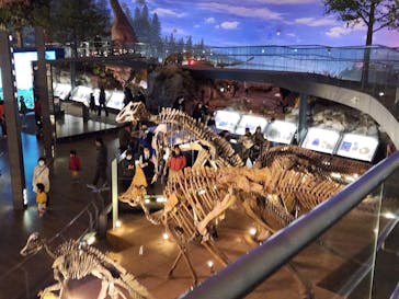福井県立恐竜博物館に投稿された画像（2024/1/2）