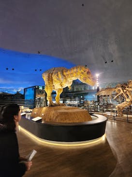 福井県立恐竜博物館に投稿された画像（2024/1/2）