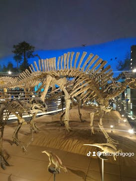 福井県立恐竜博物館に投稿された画像（2024/1/2）