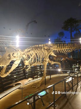 福井県立恐竜博物館に投稿された画像（2024/1/2）