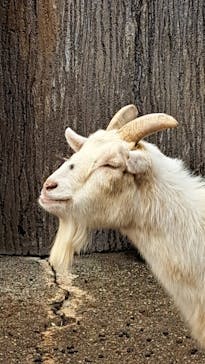 日立市かみね動物園に投稿された画像（2024/1/2）