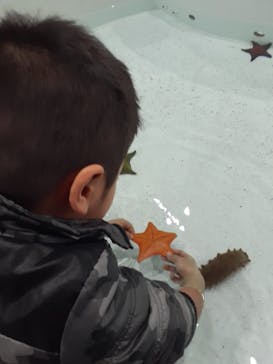 アクアワールド茨城県大洗水族館に投稿された画像（2024/1/2）