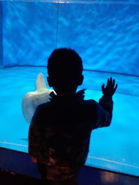 アクアワールド茨城県大洗水族館に投稿された画像（2024/1/2）