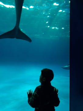 アクアワールド茨城県大洗水族館に投稿された画像（2024/1/2）