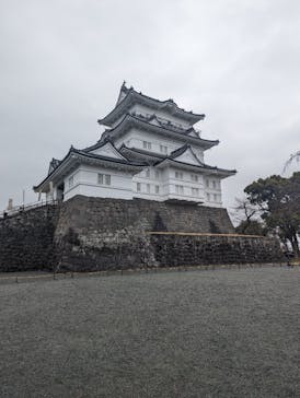 小田原城に投稿された画像（2024/1/2）