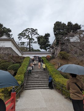 小田原城に投稿された画像（2024/1/2）