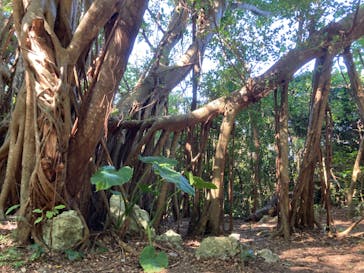 アスムイハイクスに投稿された画像（2024/1/2）