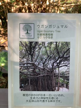 アスムイハイクスに投稿された画像（2024/1/2）