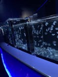 京都水族館に投稿された画像（2024/1/2）