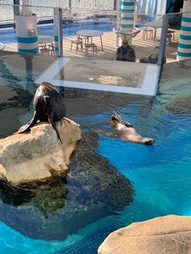 京都水族館に投稿された画像（2024/1/2）