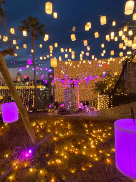 ひらかたパークに投稿された画像（2024/1/2）