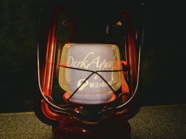 新江ノ島水族館に投稿された画像（2024/1/2）