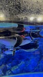 すみだ水族館に投稿された画像（2024/1/2）