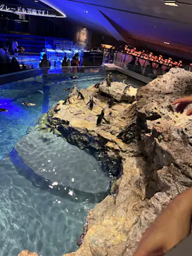 すみだ水族館に投稿された画像（2024/1/2）