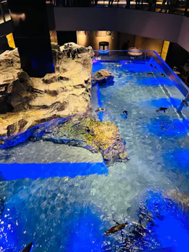 すみだ水族館に投稿された画像（2024/1/2）