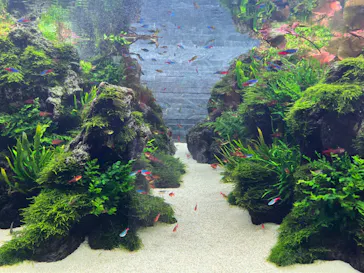 すみだ水族館に投稿された画像（2024/1/2）