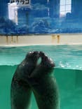 下田海中水族館に投稿された画像（2024/1/2）