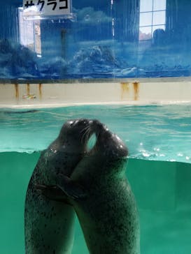 下田海中水族館に投稿された画像（2024/1/2）