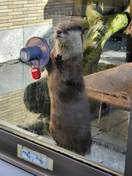 下田海中水族館に投稿された画像（2024/1/2）