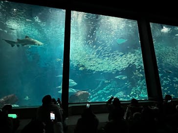 マリンワールド海の中道に投稿された画像（2024/1/2）