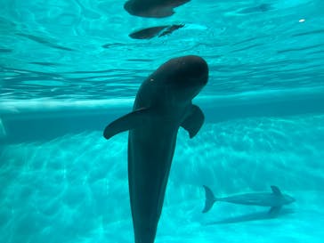 マリンワールド海の中道に投稿された画像（2024/1/2）