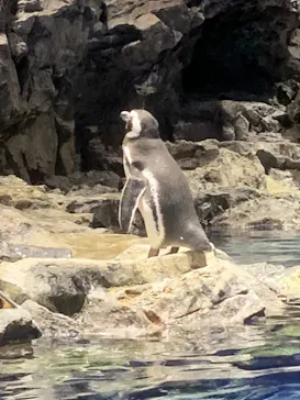 すみだ水族館に投稿された画像（2024/1/2）