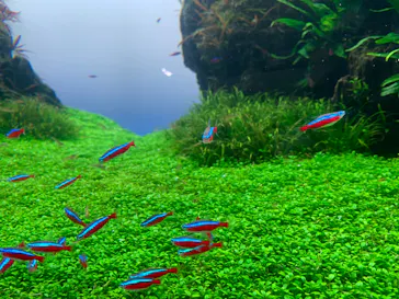 すみだ水族館に投稿された画像（2024/1/2）