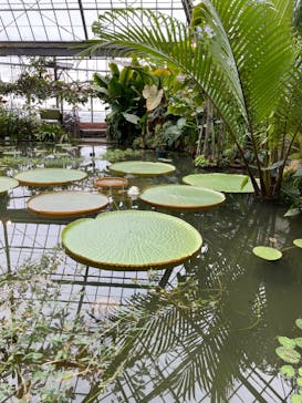 熱川バナナワニ園に投稿された画像（2024/1/2）