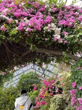 熱川バナナワニ園に投稿された画像（2024/1/2）