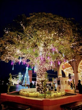 グリーンランドに投稿された画像（2024/1/2）