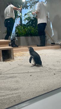 AOAO SAPPOROに投稿された画像（2024/1/2）