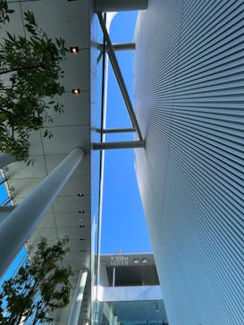 ハルカス300(展望台)に投稿された画像（2024/1/2）