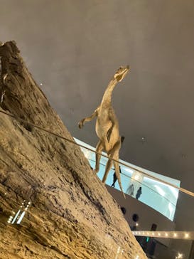 福井県立恐竜博物館に投稿された画像（2024/1/2）