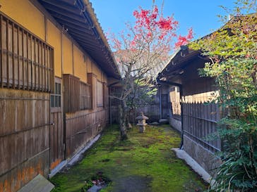 仙巌園に投稿された画像（2024/1/2）