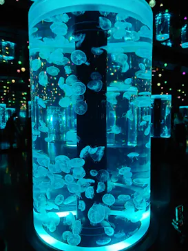 マクセル アクアパーク品川に投稿された画像（2024/1/2）