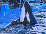 名古屋港水族館に投稿された画像（2024/1/2）