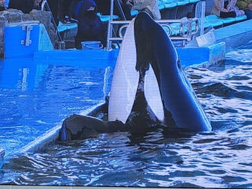 名古屋港水族館に投稿された画像（2024/1/2）