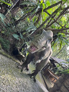 御菓子御殿　名護店　やんばる亜熱帯の森DINO恐竜PARKに投稿された画像（2024/1/2）