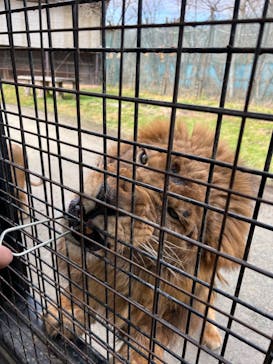 那須サファリパークに投稿された画像（2024/1/2）