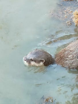 神戸どうぶつ王国に投稿された画像（2024/1/2）