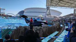 名古屋港水族館に投稿された画像（2024/1/2）