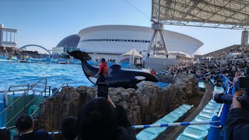 名古屋港水族館に投稿された画像（2024/1/2）
