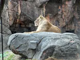 天王寺動物園に投稿された画像（2024/1/2）