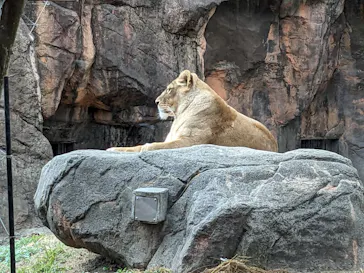 天王寺動物園に投稿された画像（2024/1/2）