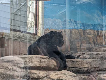 天王寺動物園に投稿された画像（2024/1/2）